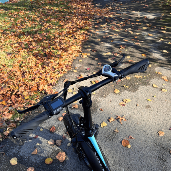 VB2 NEO ELEKTRO-KLAPPRAD 20″